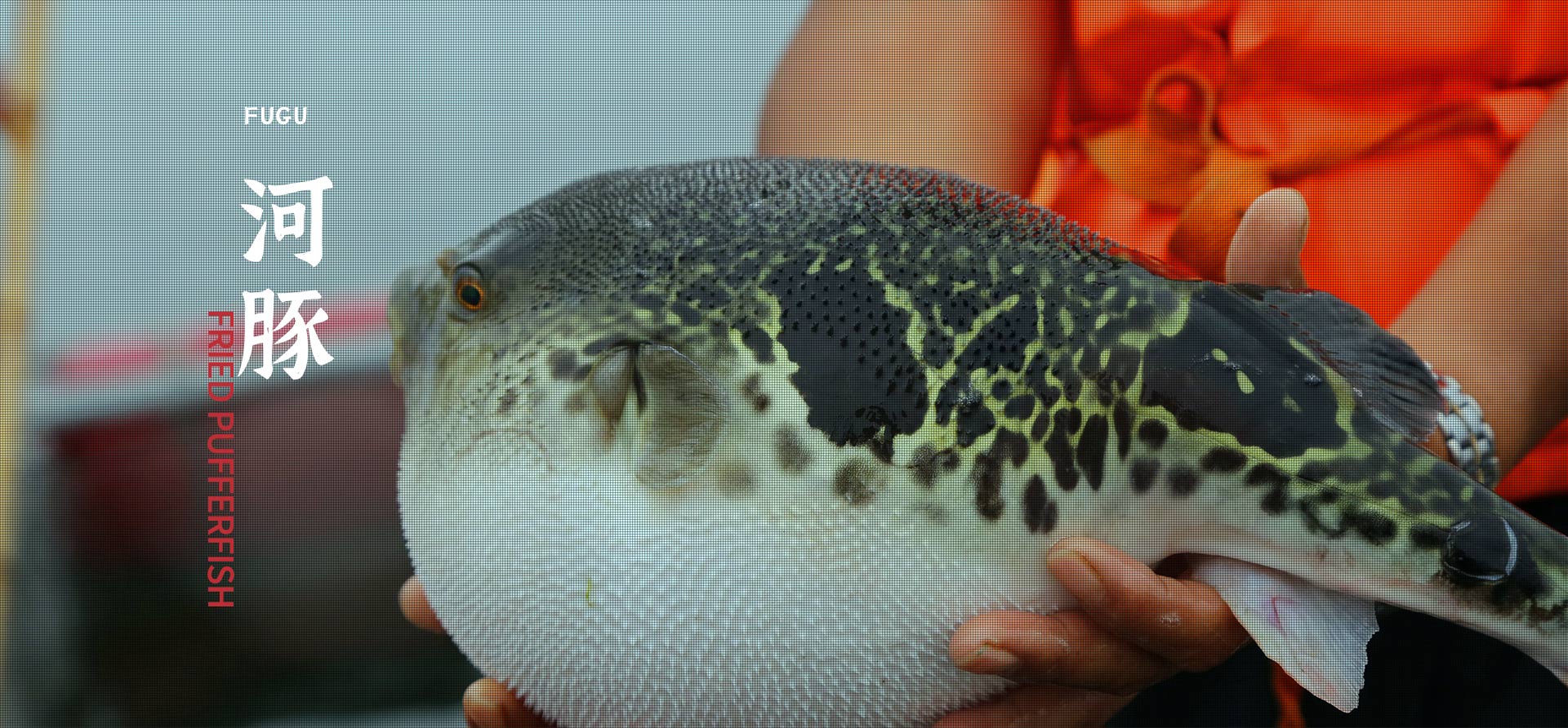 太阳成tyc122cc(中国)集团