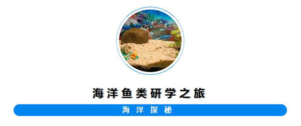 将军湖幼儿园索求海洋鱼类奥秘之旅